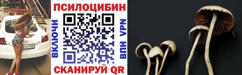 хочу наркоту  Черемхово  Галлюциногенные грибы Magic Shrooms 